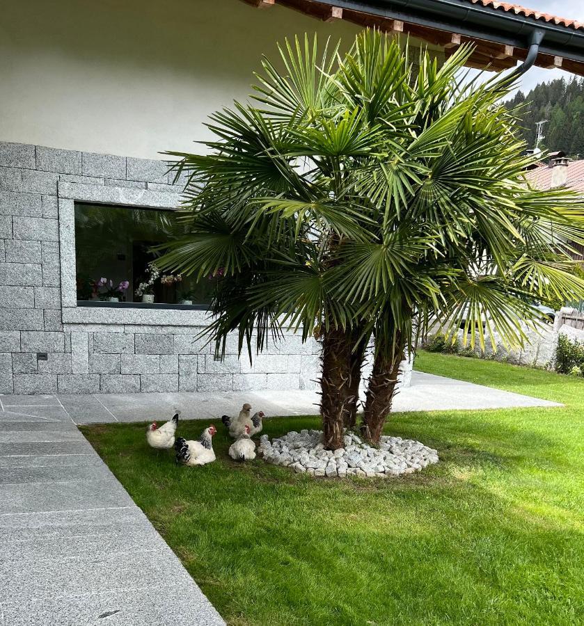 B&B Casa Il Sasso Pinzolo Εξωτερικό φωτογραφία
