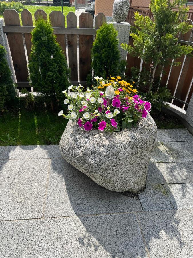 B&B Casa Il Sasso Pinzolo Εξωτερικό φωτογραφία